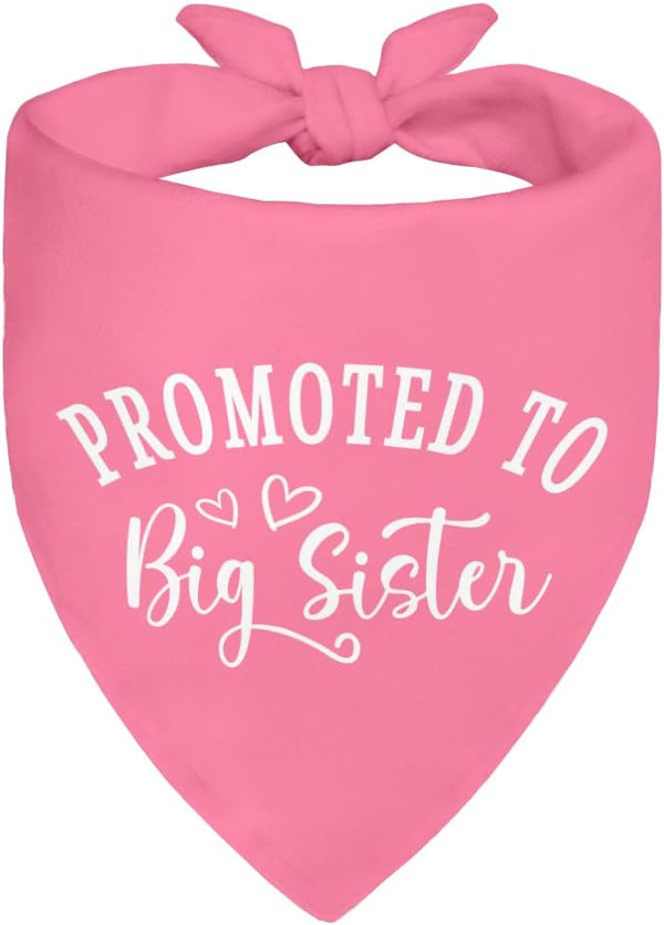 ZBBFSCSB Promoted to Big Sister Pink Dog Bandana, Photoshoot Prop Accessory for Pregnancy