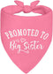 ZBBFSCSB Promoted to Big Sister Pink Dog Bandana, Photoshoot Prop Accessory for Pregnancy