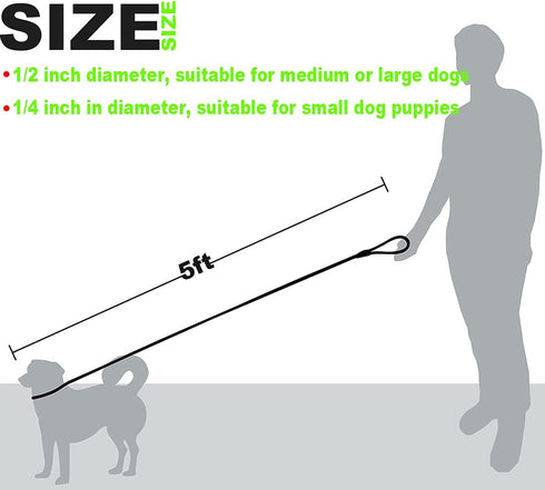 Slip Lead Dog Leash, 1/4" x 5ft No Pull Slip-on Training Leash for Small and Medium Dogs (Green)