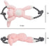 kattypet Plush Squeaky Dog Toys - Durable Cute Animals Toy for Indoor Play with Small, Medium and Large Dogs (Rabbit)