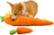 YASREKUYI Carrot Style Squeaky Large Plush Dog Toys - Small Breed Puppy Chew