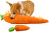 YASREKUYI Carrot Style Squeaky Large Plush Dog Toys - Small Breed Puppy Chew