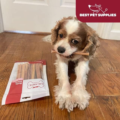 12"), Pack 6 GigaBite Bully Sticks for Dogs All Natural Beef Pizzle Dog Chews, Odor & Rawhide Free Dog Treats, Long