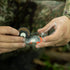 FOXPRO Crooked Spur Turkey Mouth Call Combo, 3 Diaphragm Calls Included