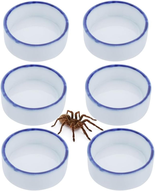 6 Pack Tarantula Ceramic Feeding Bowl, Hermit Crab Water Bowl, Small Reptile Micro Ceramic Food Dish (1.37" D, 0.51" H)