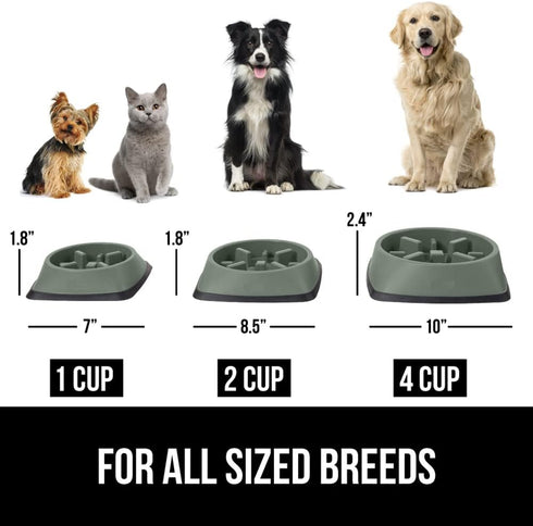 Gorilla Grip Slow Feeder Dog and Cat Bowls - Interactive Puzzle Toy, 1 Cup Sage Green, BPA Free