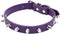 Spiked Dog Collar, Adjustable PU Leather Kitten Spiked Collar for Cats and Dogs (S, Purple)