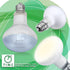 Reptile Heat Lamp 75W 2 Pack, UVA Basking Light Bulbs for Bearded Dragon, Turtle, Lizard, with Temperature Strips