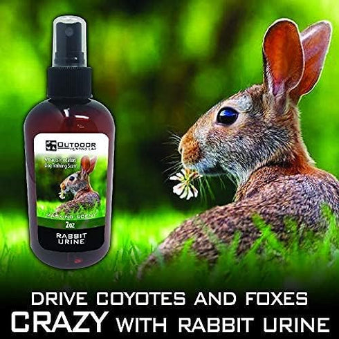 Rabbit Urine for Coyote Hunting, Rabbit Scent for Dog Training