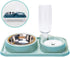 Double Dog Cat Bowls, Pet Water and Food Bowl Set, Automatic Water Dispenser, No-Spill Design