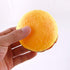 NTRR Bite-Resistant Squeaky Chewing Dog Toys, Hamburger Pet Toys for Golden Retrievers and More