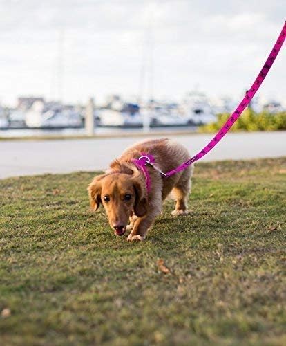 EcoBark Dog Leash, Soft & Reflective Comfort Training Leashes with Padded Handle, Heavy Duty for Small, Medium, Large