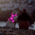 Light Up Dog Harness, No-Pull LED Rechargeable Glowing Pet Harness for Night Walking & Camping, Hotpink