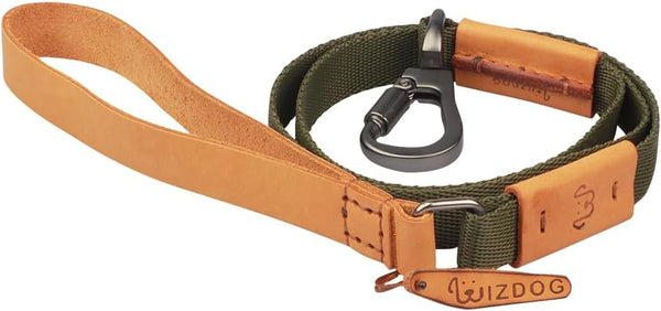 Dog Leash, 4 FT Nylon Pet Leash with Leather Handle for Large Medium Dogs, Reinforced Connection (Army)