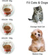 Elevated Cat/Dog Bowls - 6.25 Inch Ceramic Raised Food & Water Bowl Set for Protecting Pet's Spine - Feeding Supplies