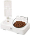 Marchul Tilted Cat Bowl Set - Raised Dishes for Food and Water, Ideal for Puppies