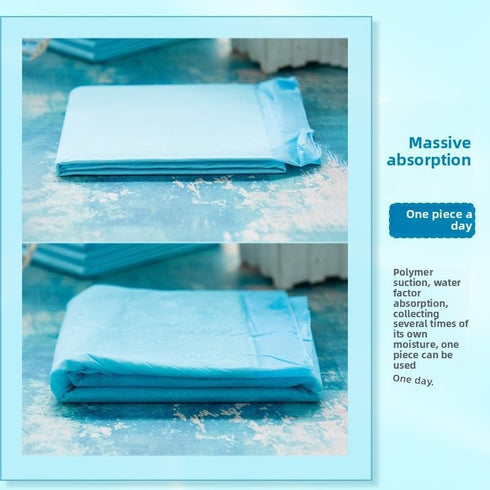 Generic 40 (23x23 Inch) Super Absorbent Puppy Pee Pads | Pads | Quick-Dry Lock for Training, Indoor & Overnight Use |