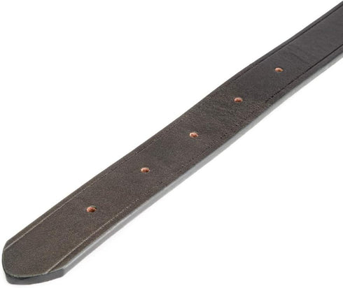 King Buck Premium Leather D Ring Dog Collar, L/XL