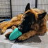 Chew King Premium Treat Dog Toy, Medium, Natural Rubber, Pack of 2