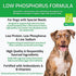 VFS Low Phosphorus Special Needs Dry Dog Food, Cage Free Turkey and Whole Eggs, 4.4lb