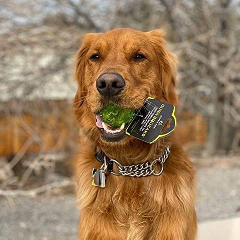 2.5 Inch Hyper Pet DuraSqueak Dog Ball Toy, Interactive Dog Toys that Float and Squeaks for Playing, Fetching