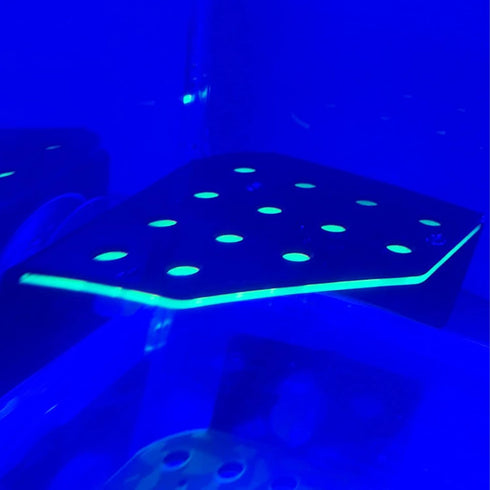 Magnetic Coral Frag Rack, Fluorescent Green Acrylic with 13 Holes, Safe Stable for Saltwater Aquarium and Fish Tanks