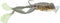Generic Fishing Lure Frog Popper 50t Ultimate Stride Topwater 2 Inches Color #