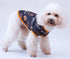 XIAOYU 3 Pieces Halloween Dog Shirt - Funny Black Bat, Magic Hat, Pumpkin Head T-Shirt for Small Dogs & Cats (S)