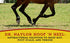 16oz, 1-pack Dr. Naylor Hoof 'N Heal, Hoof Rot Foot Rot Wound Care, Sheep Goat Cow Horse