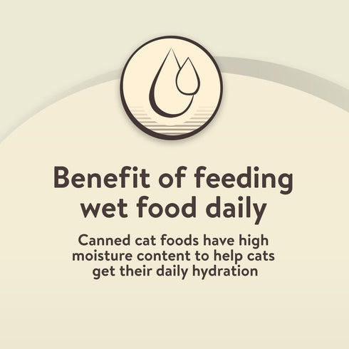 FYNORI Pack 13 oz. (12 Count), Beef & Tuna Flavor Pate Wet Cat Food Variety for Kitten, Cans Nutritionally Complete