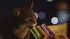 INABA Churu Cat Treats, Grain-Free, Lickable Creamy Purée with Vitamin E & Taurine, 0.5 Ounces Each Tube, 12 Tubes