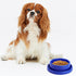 Ants Away Dog Bowl - Round No Spill Eating Feeder for Small Animals in Blue