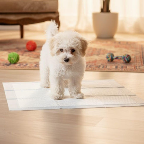 Generic PuppyLamb 6-Layer Ultra Absorbent Pet Training Pee Pads - Quick-Dry Potty Pads