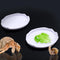 DQITJ 2 Pcs Snail Water and Food Bowl Hermit Crab Feeding Dish for