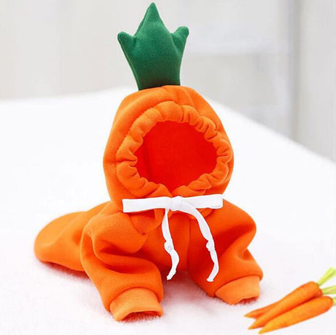XIAOYU Pet Clothes Dog Hoodies, Warm Sweatshirt Coat for Puppy Autumn Winter Apparel, Carrot, M
