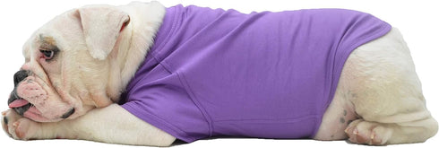 Lovelonglong Bulldog Clothes - Blank T-Shirt Tee for French Bulldog, English Bulldog, American Pit Bull, Pugs - Purple