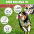 Dog Toys for Aggressive Chewers, Indestructible Bacon Flavored Chew Toy Bones for Medium/Large Breed Dogs