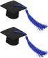 BESTOYARD 2Pcs Set Elastic Doctorial Hat black graduation cap graduation hat for dogs Cat Graduation Hat puppy graduation cap mini bachelor hats pet doctor hat chic pet hat man Felt cloth