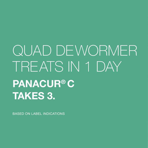 Elanco Chewable Quad Dewormer for Medium Dogs, 2 Chewable Tablets for 26-60 lbs
