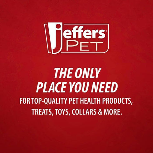 5" Jeffers Pet Plush Dog Toy with Squeaker, Fleecy Lamb Soft Plush Interactive Puppy Toy for Chewing, Fetch, Indoor