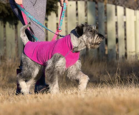 RC Pet Products Baseline Fleece Dog Coat, Everyday Base Layer, Size 18, Mulberry/Dark Teal