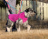 RC Pet Products Baseline Fleece Dog Coat, Everyday Base Layer, Size 18, Mulberry/Dark Teal