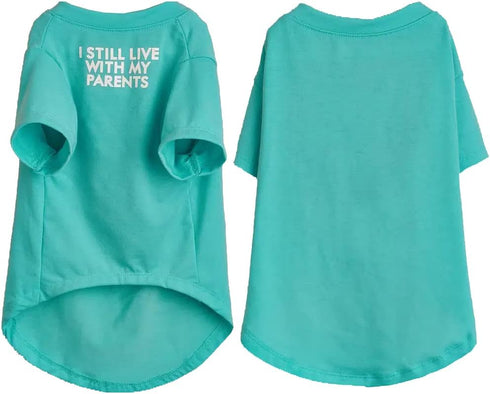 Cute Dog T Shirt for Medium Dogs, Breathable Soft Dog Clothes for Small Dogs, Pet Pullover Jumper (Aqua)