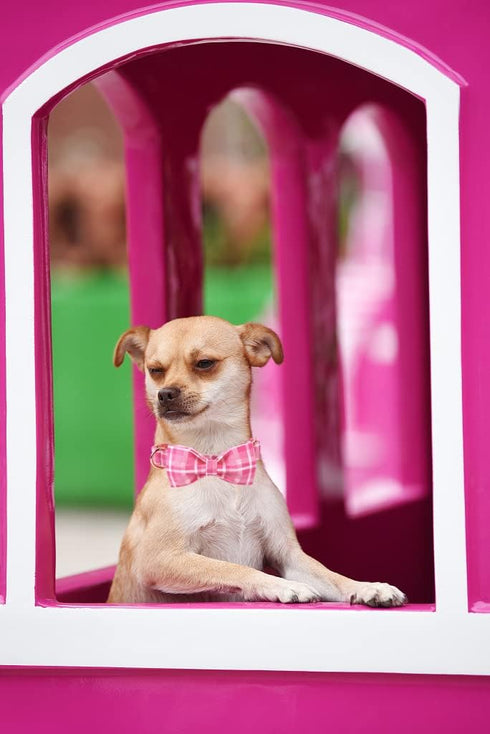 Lionheart Glory Adjustable Pink Plaid Dog Collar with Bowtie, Soft Bowtie Dog Collars for X-Small Puppy Gift