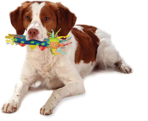 06 Cool Teething Stick Puppy Chew Toy for Month Puppies, Teething Relief, Freezable & Durable