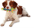 06 Cool Teething Stick Puppy Chew Toy for Month Puppies, Teething Relief, Freezable & Durable