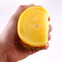 NTRR Bite-Resistant Squeaky Chewing Dog Toys, Hamburger Pet Toys for Golden Retrievers and More
