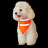 Encell Set of 2 Dog Reflective Scarf Safety Pet Bandana, Orange, Medium Size