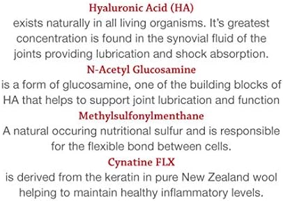 Hyalogic Pro Advanced HyaFlex for Dogs - Joint Support Supplement, 30 Beef Flavored Wafers