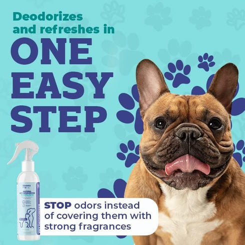 Pets Pet Deodorant & Odor Neutralizer w/Oat & Aloe | Naturally Derived Quick-Drying Deodorizer Spray for Dogs | Safe on